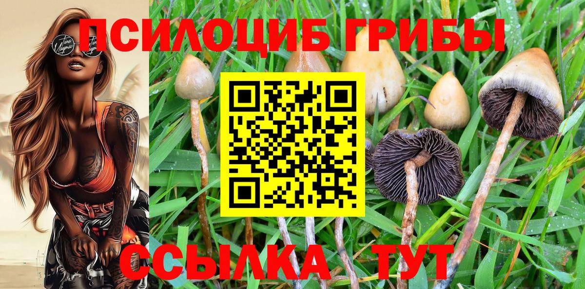 Галлюциногенные грибы GOLDEN TEACHER  Вход с VPN  Ноябрьск 